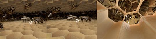 Honigbiene VR