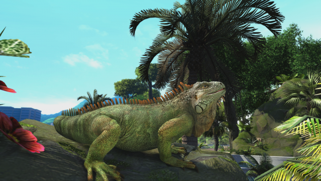 Zoo Tycoon Iguana