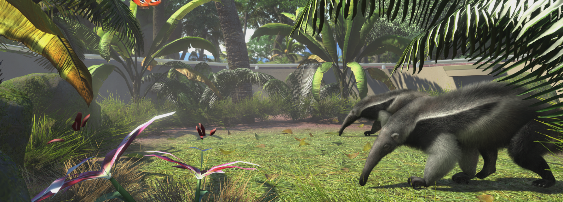 Zoo Tycoon Ameisenbär